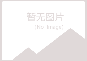 文山县从彤能源有限公司